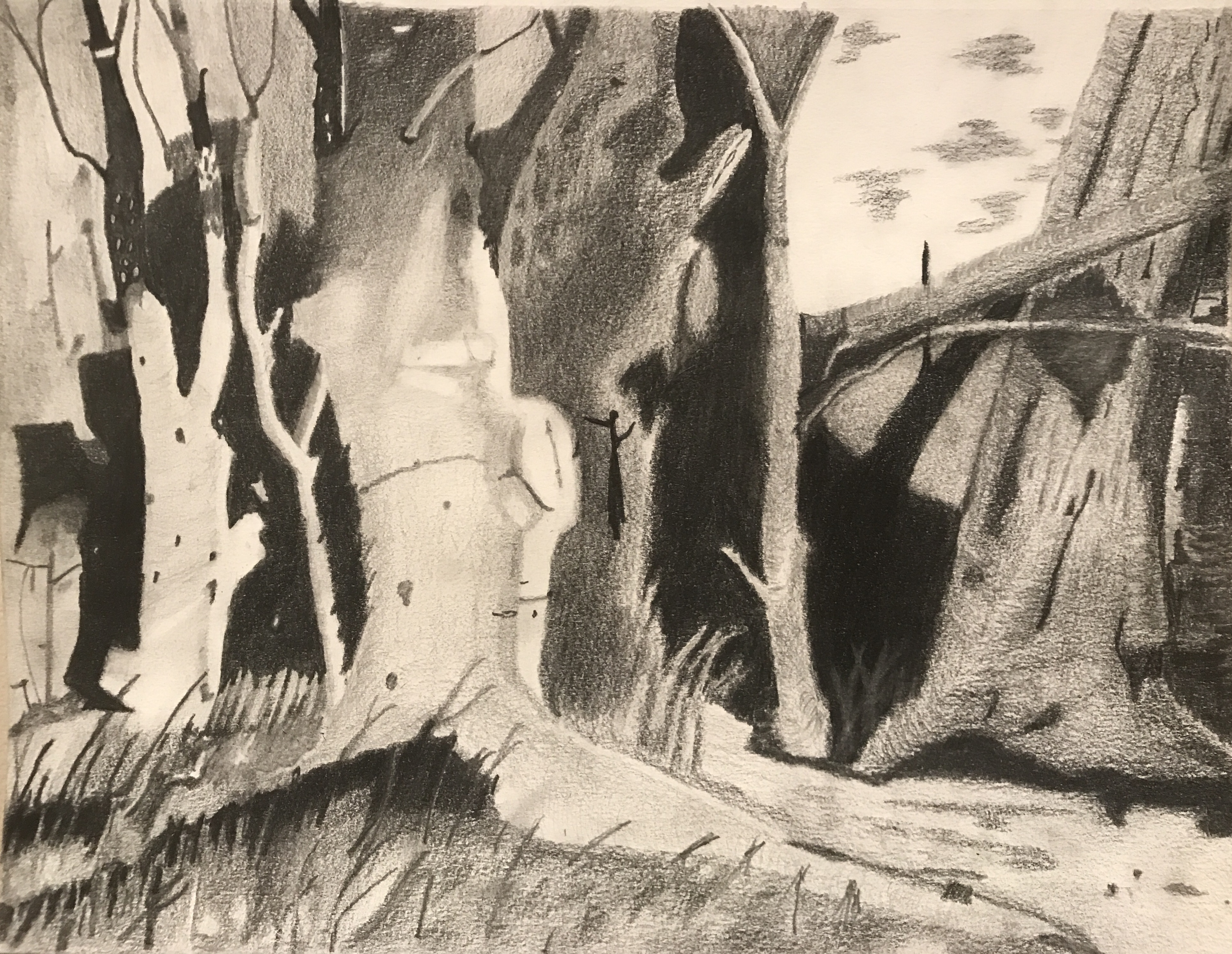 Trees - Graphite